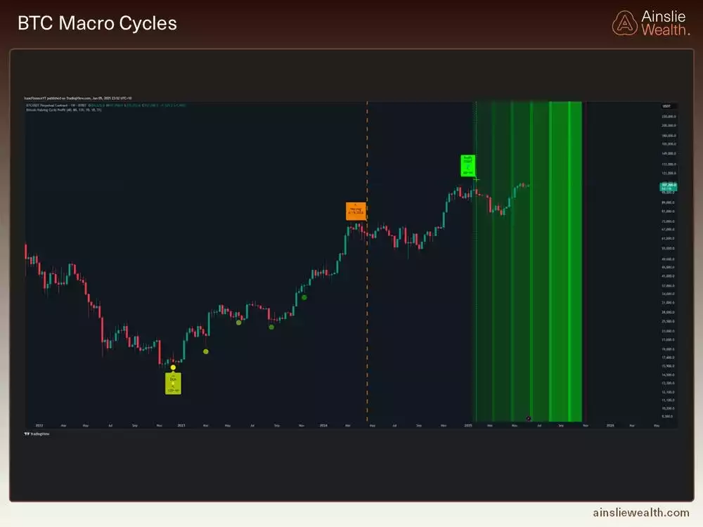Bitcoin Macro Cycles - June 2025 Bitcoin Macro Cycles - June 2025